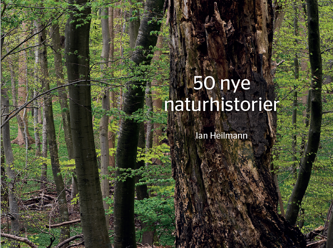 Ny sydfynsk naturbog fra DN Svendborg