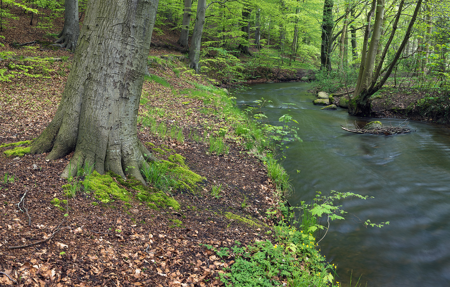 Natur, miljø og klima er blandt de vigtigste temaer for vælgerne i Svendborg Kommune